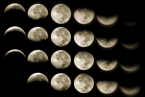 lunar cycles